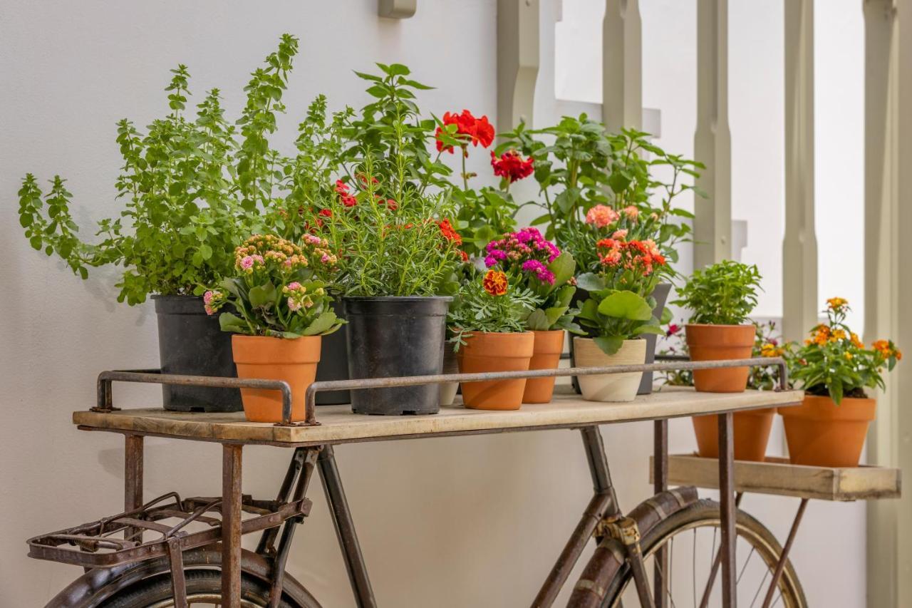 Amarada City Suites Rhodes City Екстериор снимка